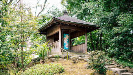 “传统”和”新价值”的发掘将继续