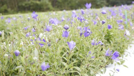 学会自我药疗，活泼舒适地生活。
