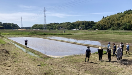 荣太楼总本铺的和果子制作,从员工插秧开始
