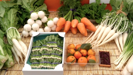 江户东京蔬菜告诉我们的的传统口味和食物多样性