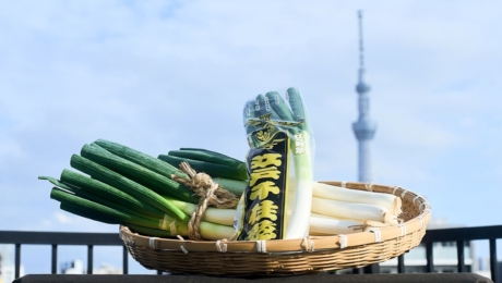 百年老铺“葱善” <br>复活百年传统“江户千住葱”